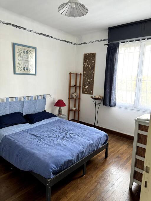 Appartement Sabatier T4 Avec Terrasse Et Jardin Carcassonne Ngoại thất bức ảnh