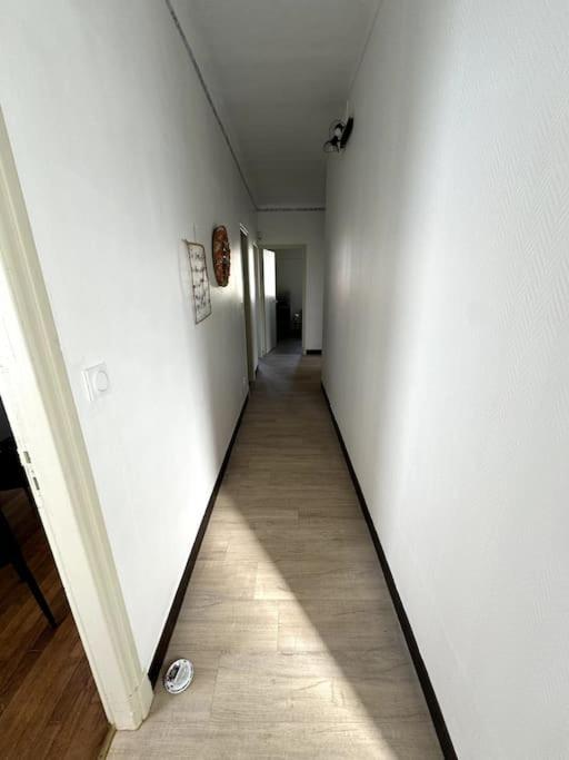 Appartement Sabatier T4 Avec Terrasse Et Jardin Carcassonne Ngoại thất bức ảnh
