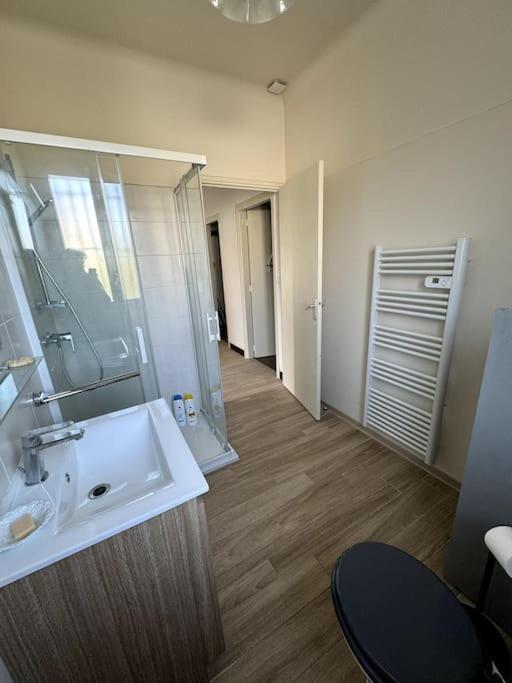 Appartement Sabatier T4 Avec Terrasse Et Jardin Carcassonne Ngoại thất bức ảnh
