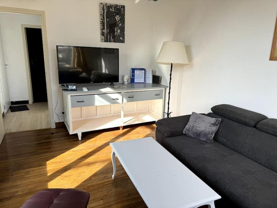 Appartement Sabatier T4 Avec Terrasse Et Jardin Carcassonne Ngoại thất bức ảnh
