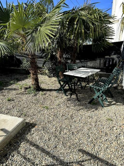 Appartement Sabatier T4 Avec Terrasse Et Jardin Carcassonne Ngoại thất bức ảnh